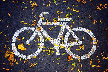 photo of bicycle road marking